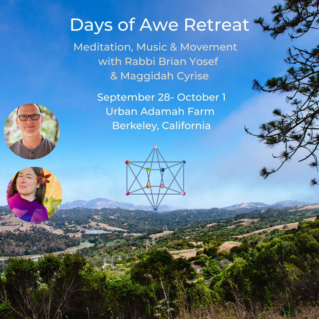 2025 High Holy Days & Days of Awe Retreat